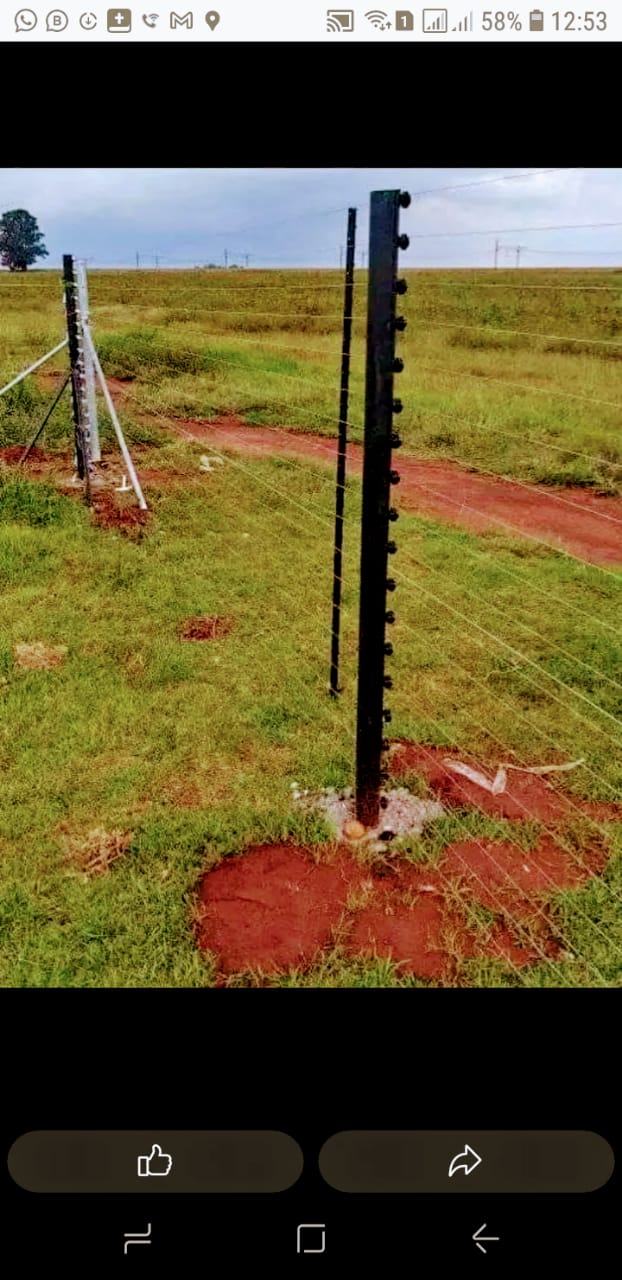 WhatsApp Image 2024-06-29 at 09.06.20_dc7a953d